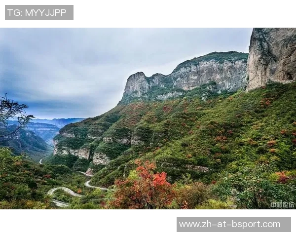 早报：路漫漫其修远兮——在晨光中开启自我提升之路